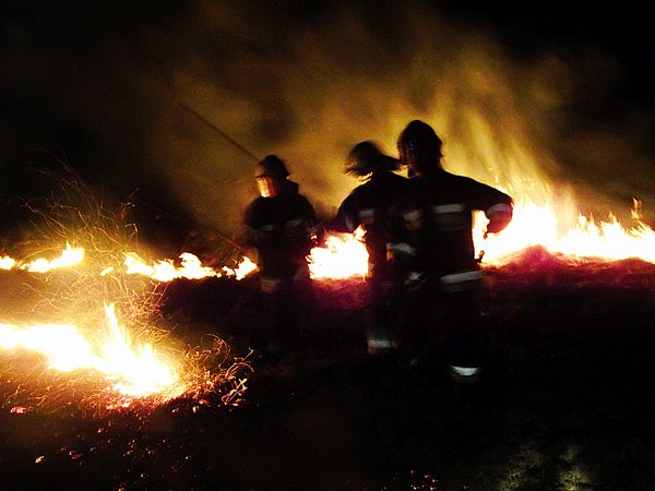 Pożar traw na ul. Bugajskiej.