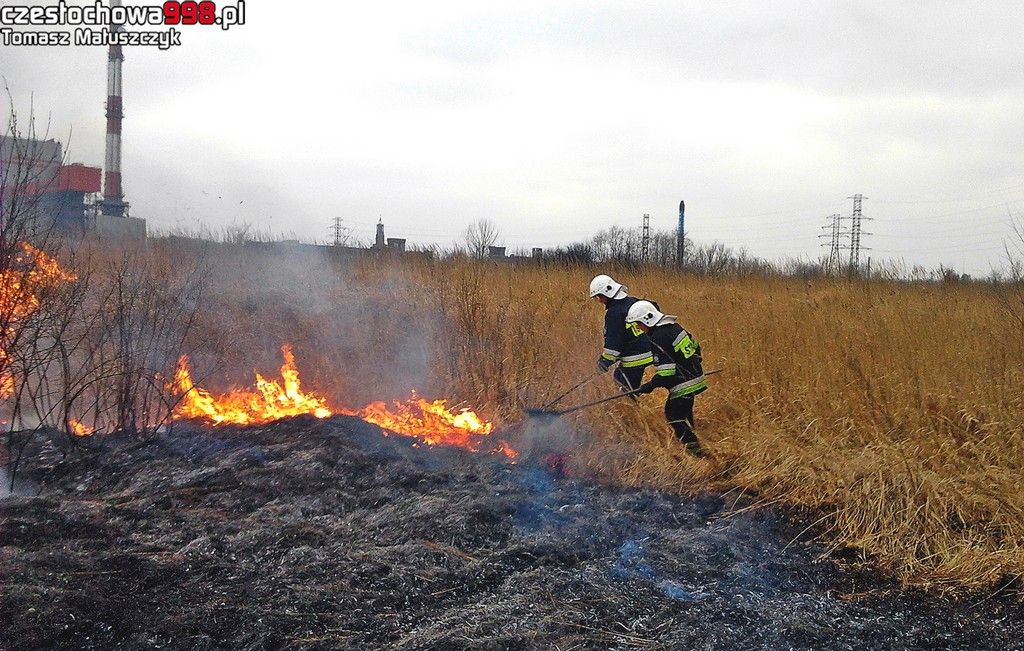 Pożary traw na ul. Hutników i przy trasie DK1