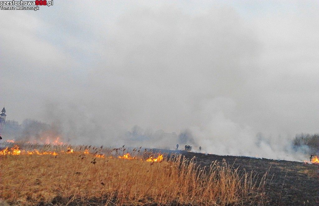 Pożary traw na ul. Hutników i przy trasie DK1